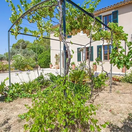 Sa Vinyota De Piti * Selva (Mallorca)